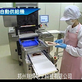 全自動(dòng)蔬菜包裝機(jī)